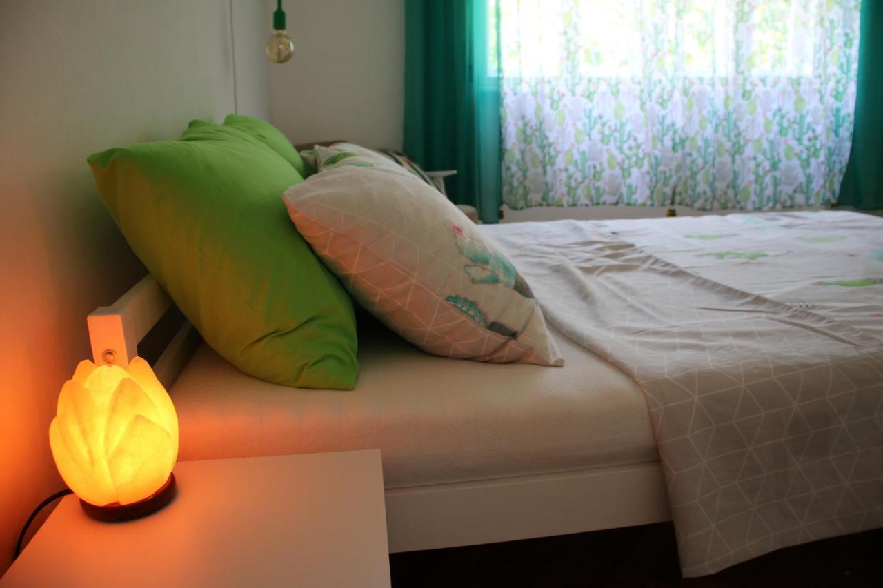 Green Cactus Rooms - Unique And Cozy House Senta Eksteriør billede