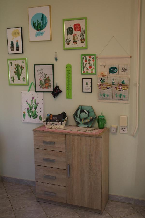 Green Cactus Rooms - Unique And Cozy House Senta Eksteriør billede