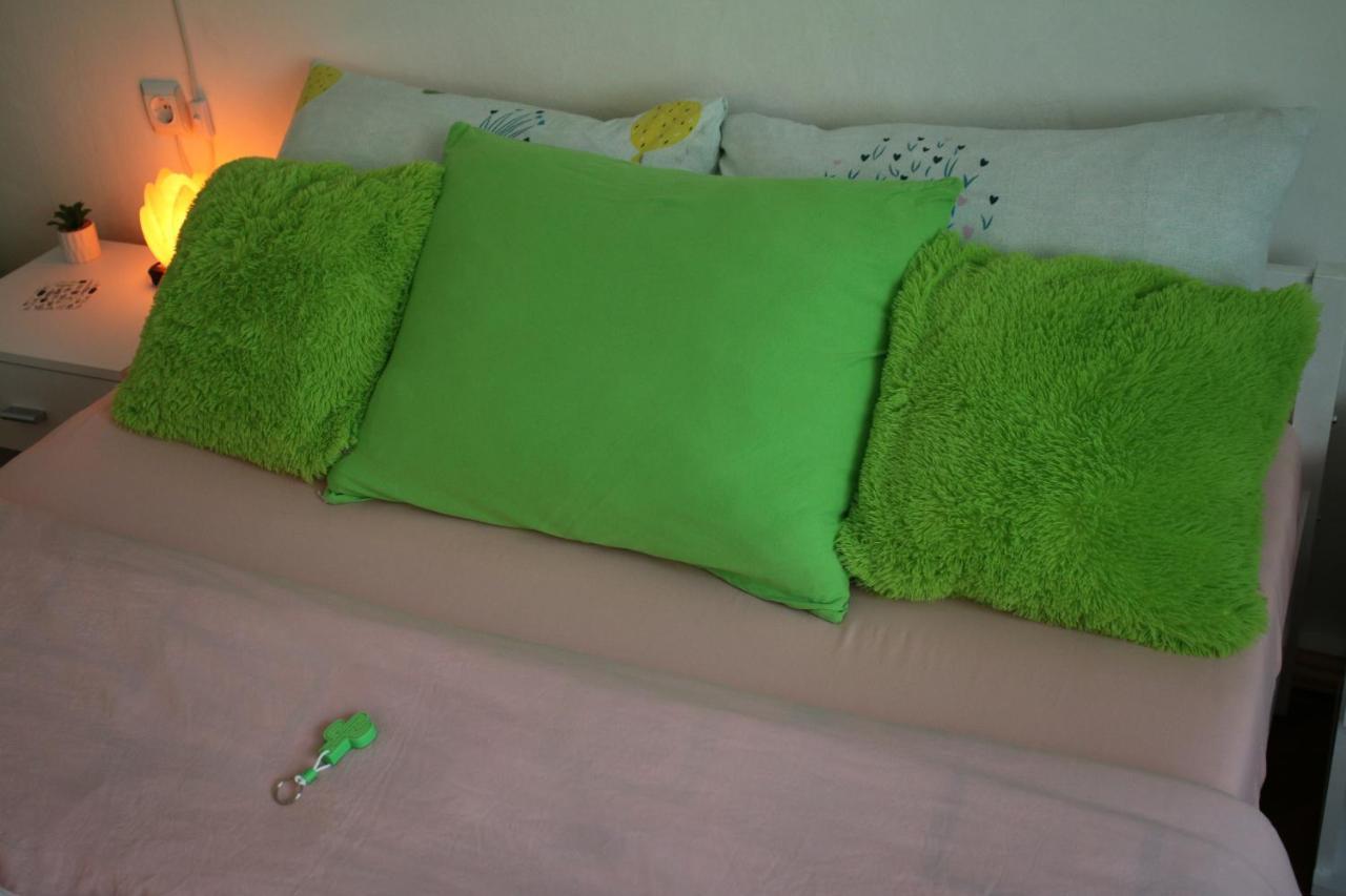 Green Cactus Rooms - Unique And Cozy House Senta Eksteriør billede