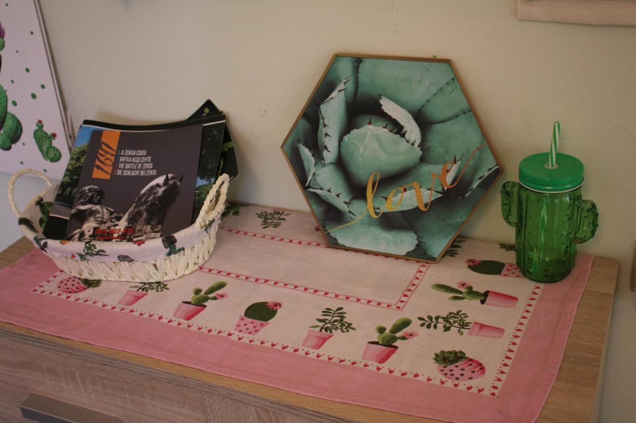 Green Cactus Rooms - Unique And Cozy House Senta Eksteriør billede