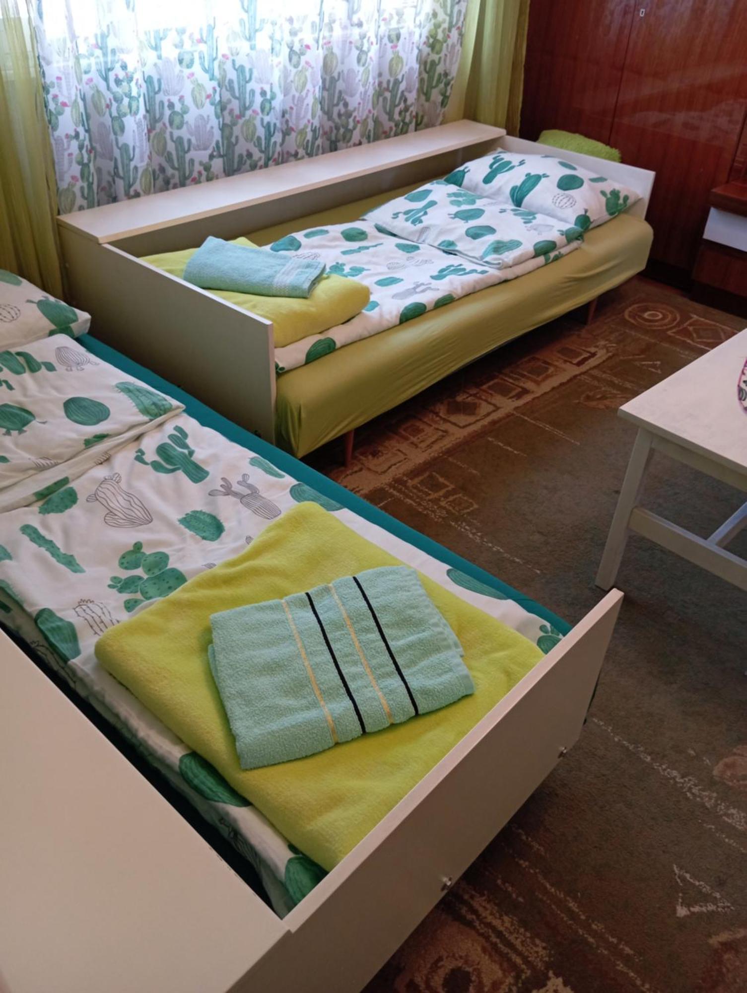 Green Cactus Rooms - Unique And Cozy House Senta Eksteriør billede