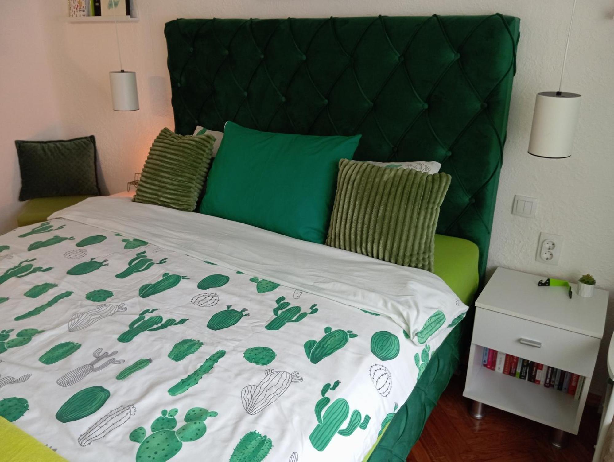 Green Cactus Rooms - Unique And Cozy House Senta Eksteriør billede