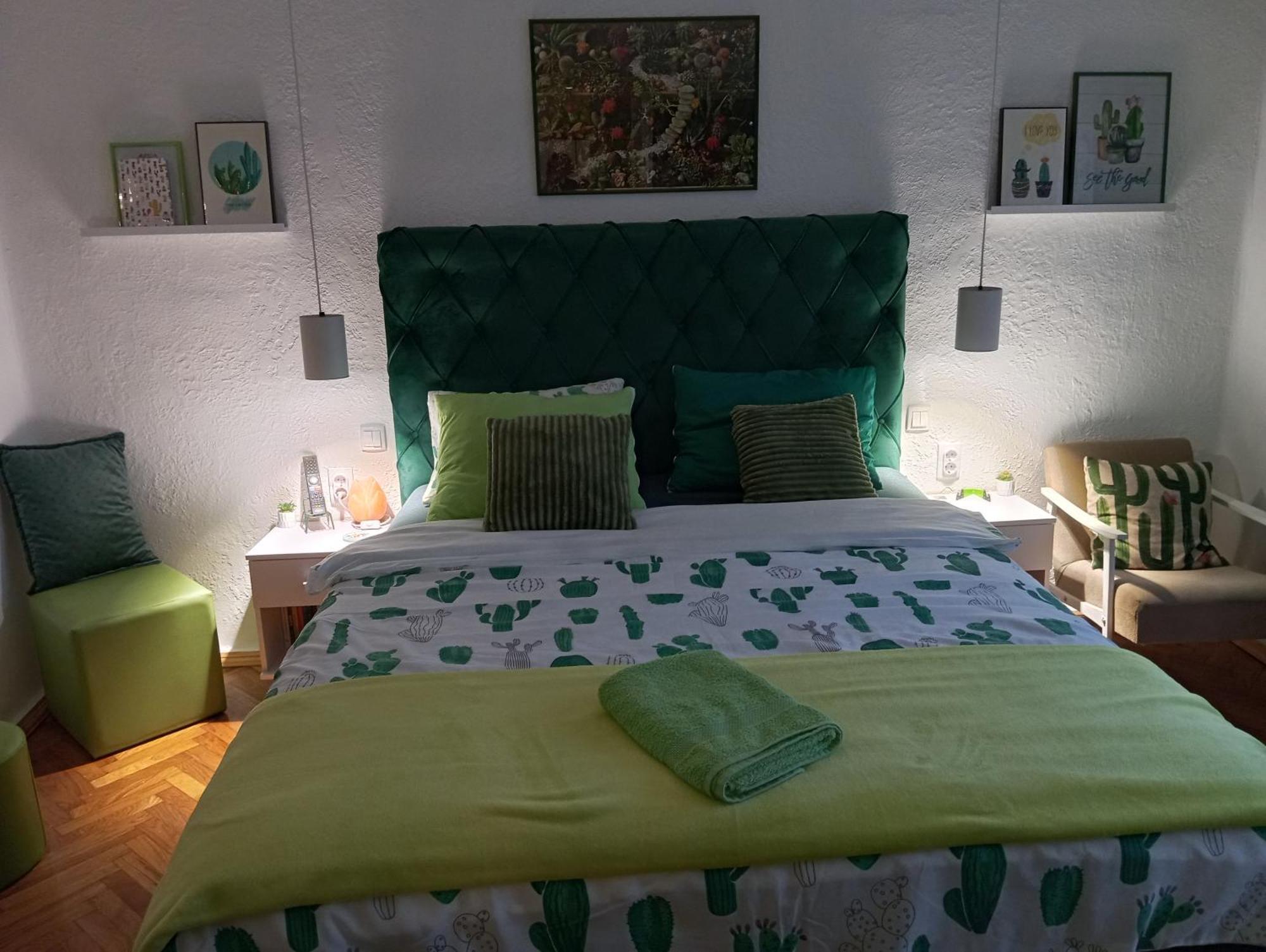Green Cactus Rooms - Unique And Cozy House Senta Eksteriør billede