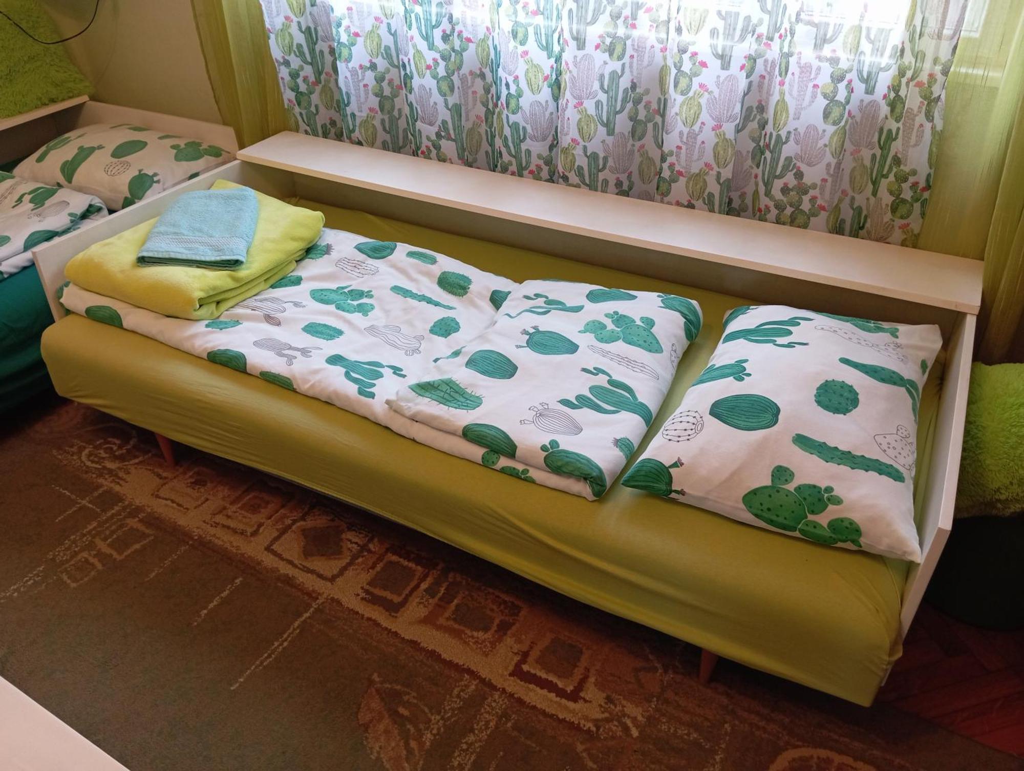 Green Cactus Rooms - Unique And Cozy House Senta Eksteriør billede