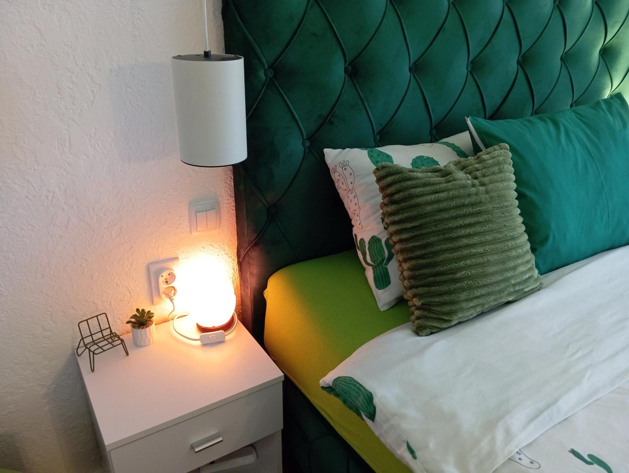 Green Cactus Rooms - Unique And Cozy House Senta Eksteriør billede